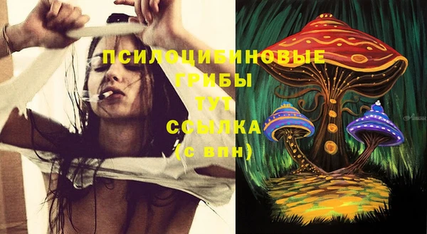 спиды Липки