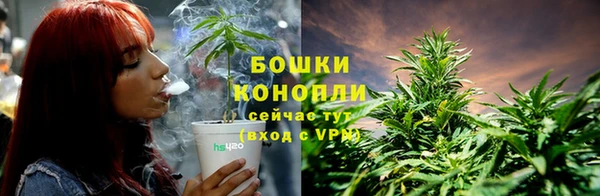 спиды Липки